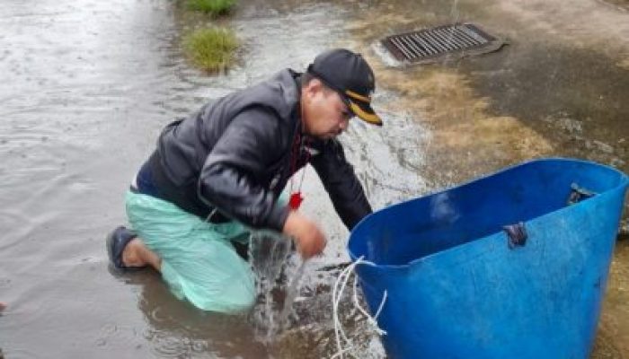 Terdampak Banjir, Lurah Mappasaile Turun Langsung Bersihkan Sampah Drainase