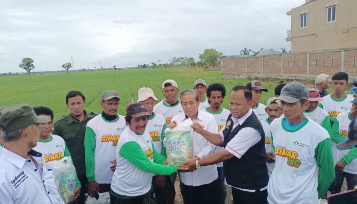 Bupati Sidrap Serahkan Bantuan Pupuk Hayati ke Petani