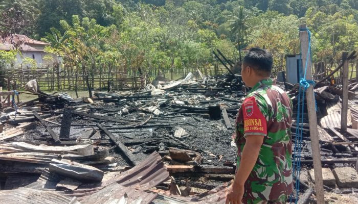 Sijago Merah Menghanguskan 2 Rumah di Desa Kupa