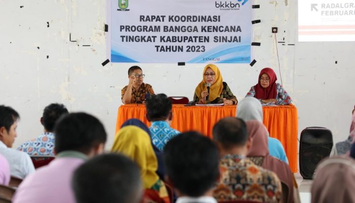 Kaper BKKBN Sulsel Himbau Penyuluh KB Sinjai Berinovasi 