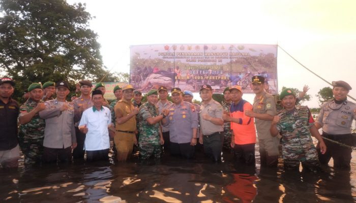 Peduli Lingkungan, Kodim 1405 pare-pare Bersama Forkopimda Barru Tanam Pohon Mangrove Secara Nasional