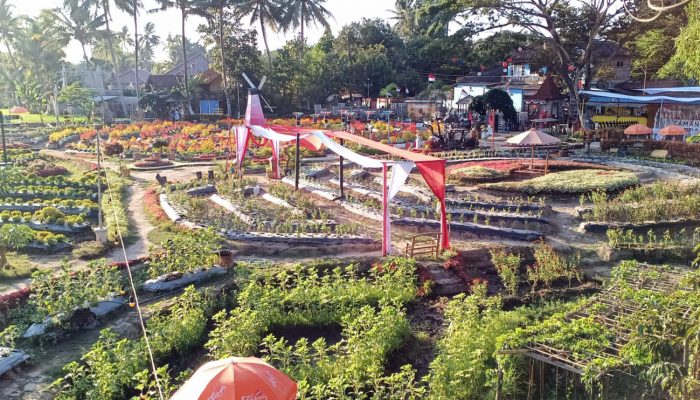 Yuk!! Nikmati Keindahan dan Kuliner Sawah Kakung Magelang
