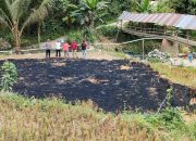 Musim Kemarau, Polisi Imbau Warga Tidak Bakar Lahan Sembarangan