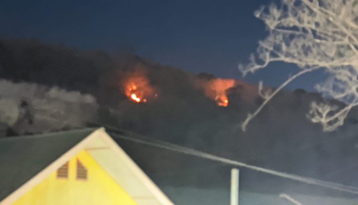 Polsek Watang Pulu Bersama Damkar Padamkan Titik Api di Gunung Lawawoi