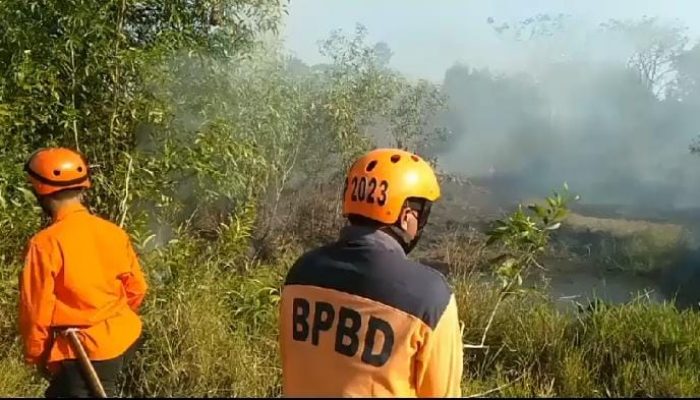 Waspada Dampak El Nino, Dari Kebakaran Hingga Kekeringan