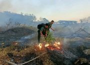 Dandim 1405 Parepare Bantu Padamkan Kebakaran Lahan Perkebunan Warga