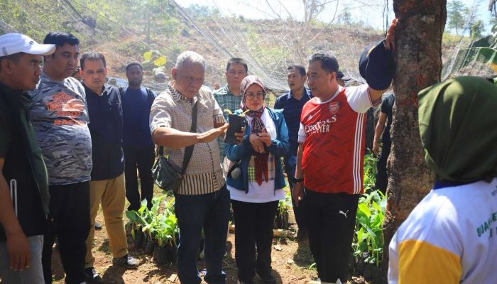 Pj Gubernur Bahtiar Tinjau Perkebunan di Desa Swasembada Toddopulia, Dorong Gerakan Gemar Menanam Pisang