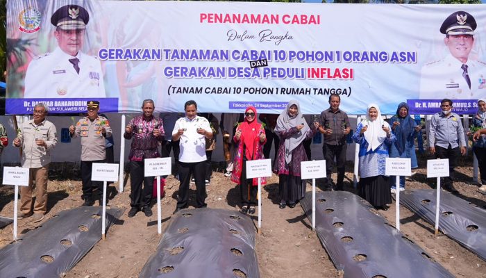 Sofha Marwah Bahtiar Mulai Gerakan Tanam Cabai di Kabupaten Wajo