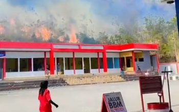 VIDEO: Kebakaran Hutan Meluas, Warga Dekat SPBU Mattirotasi Sidrap Panik