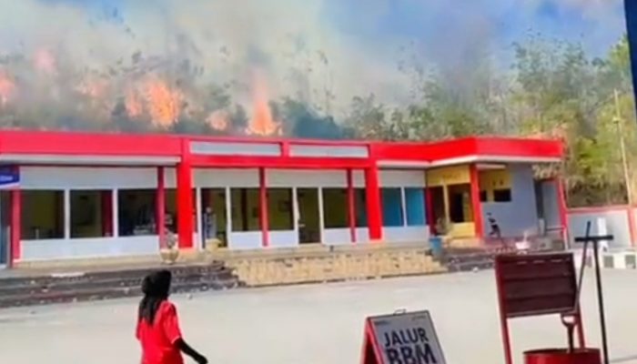 VIDEO: Kebakaran Hutan Meluas, Warga Dekat SPBU Mattirotasi Sidrap Panik
