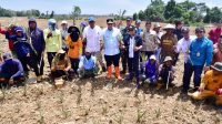 Tingkatkan Ketahanan Pangan, 50.000 Benih Nila Dilepas di Embung Kecamatan Mare