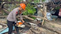 Pohon Tumbang Timpa Rumah Warga, SAR Brimob Bone Gerak Cepat Lakukan Evakuasi