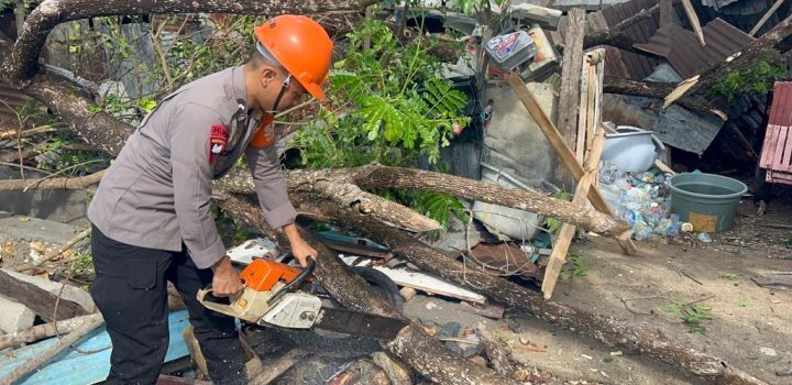 Pohon Tumbang Timpa Rumah Warga, SAR Brimob Bone Gerak Cepat Lakukan Evakuasi
