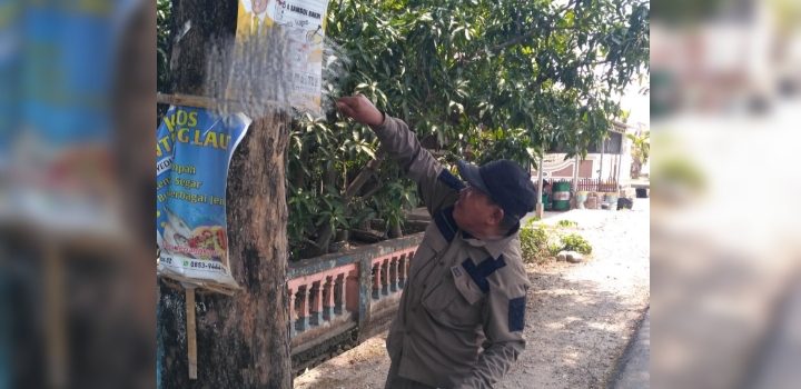 Banyak APK Pemilu 2024 Terpasang di Pohon, Satpol PP Sidrap Tertibkan