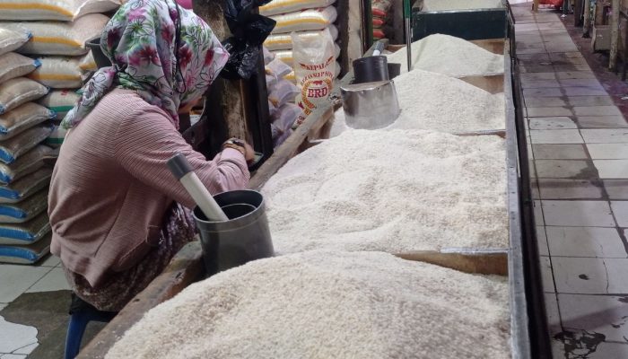 Harga Beras Disejumlah Pasar Tradisional Di Kota Makassar, Perlahan Terkendali dan Diprediksi Turun