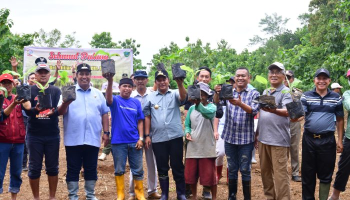 Pj Gubernur Bahtiar Lestarikan Kawasan Rammang-rammang, Tanam Sukun Hingga Tebar Benih Ikan