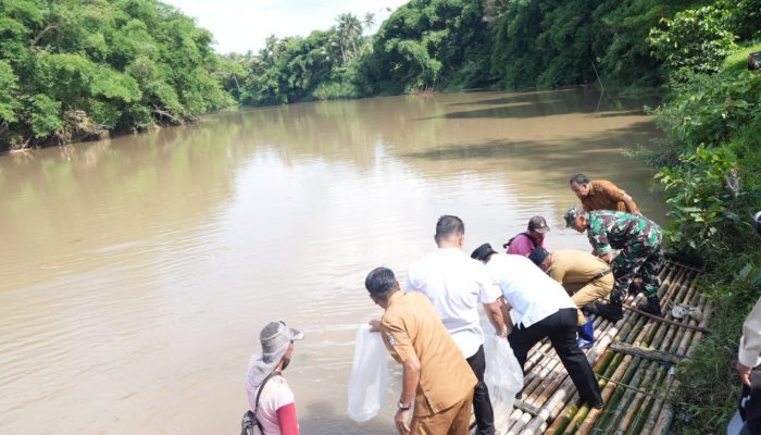 Program Ketahanan Pangan dan Cegah Miskin Ekstrem, Sudah 2,7 Juta Benih Ikan Ditebar di Kabupaten Bone