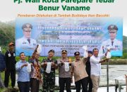 Pj Gubernur Sulsel dan Pj Wali Kota Parepare Tebar Benur Vaname