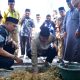 Pj Gubernur Sulsel Letakan Batu Pertama Pembangunan Menara Masjid Nurul Ilmi Himal SMPPSMADAGA Bone