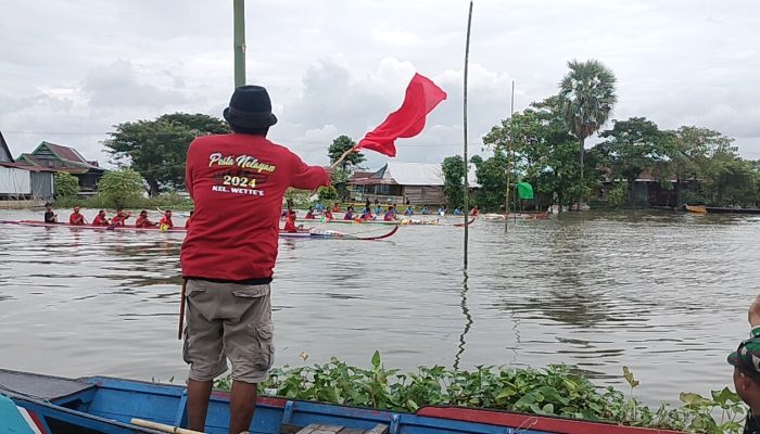 Tontonan Menarik Lomba Perahu Dayung di Tengah Banjir Wette’e