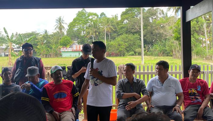 Syaharuddin Alrif Hadiri Tradisi Mappadendang di Desa Ajubissue Pitu Riawa