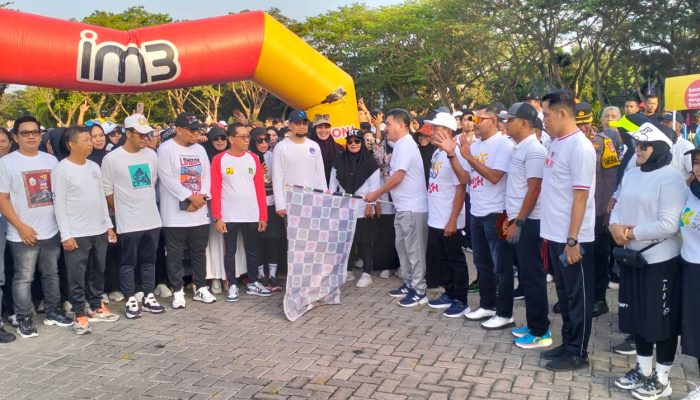 Ribuan Warga Sidrap Meriahkan Jalan Sehat HUT ke-355 Sulsel