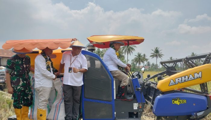 Dari Sidrap, Bulog Luncurkan Program Mitra Tani Perkuat Ketahanan Pangan Nasional