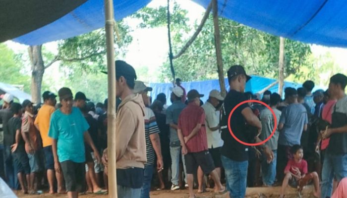 Diduga “Kebal Hukum”, Judi Sabung Ayam di Ma’rang Pangkep Kembali Marak di Lokasi Belakang Ponpes