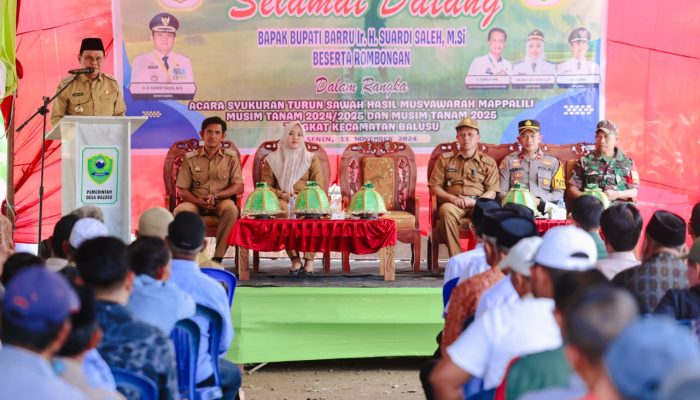Bupati Barru Hadiri Kegiatan Mappalili Tingkat Kecamatan Balusu
