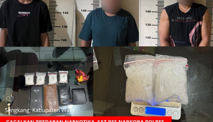 Sat Res Narkoba Polres Wajo Gagalkan Peredaran Narkotika, Selamatkan 1000 Nyawa