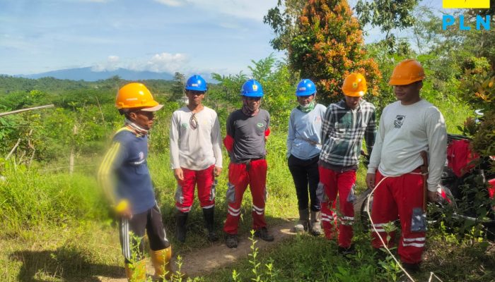 Persiapan Ramadhan: PLN ULTG Sidrap Gencar Lakukan Pemangkasan Pohon di Jalur Transmisi Sidrap-Makale