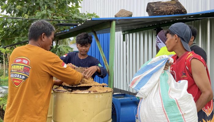 Mahasiswa UMS Rappang Buat Asap Cair untuk Menghasilkan Pestisida Alami