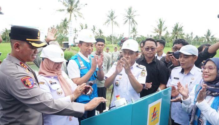 Bupati Sidrap dan PLN UID Sulselrabar Resmikan Program Listrik Masuk Sawah, Dukung Swasembada Pangan