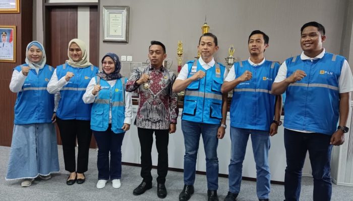 Sidrap Luncurkan Program Listrik Masuk Sawah, Dorong Pertumbuhan Ekonomi Pedesaan