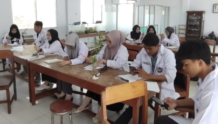 Mahasiswa UMS Rappang Belajar Identifikasi Gulma, Siap Hadapi Tantangan Pertanian Modern