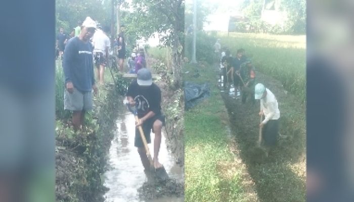 Jumat Bersih, Warga Kajaolaliddong Kompak Bersihkan Saluran Irigasi Tersumbat