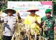 Sinergi Pemkab dan Polres Barru Wujudkan Swasembada Pangan Lewat Panen Raya Jagung di Siawung