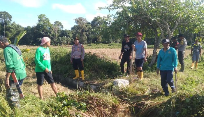 Sinergi TNI-Polri, Muspika dan Petani Kulo: Irigasi Bersih Menuju Kemandirian Pangan