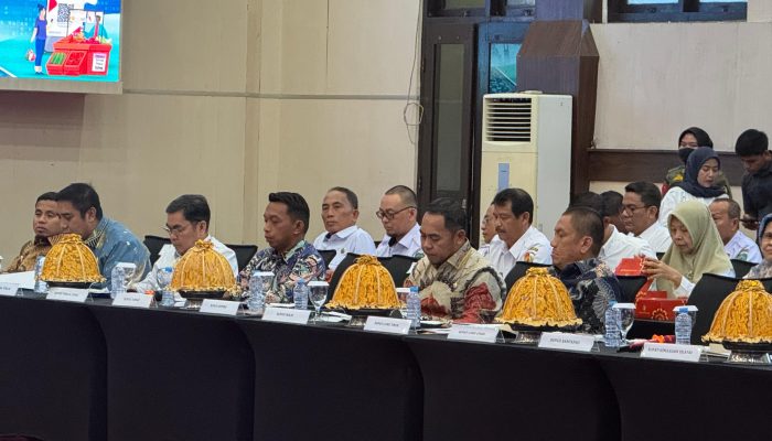 Bupati Syaharuddin Paparkan Strategi Digitalisasi Pemkab Sidrap di Forum TPID dan TP2DD Sulsel