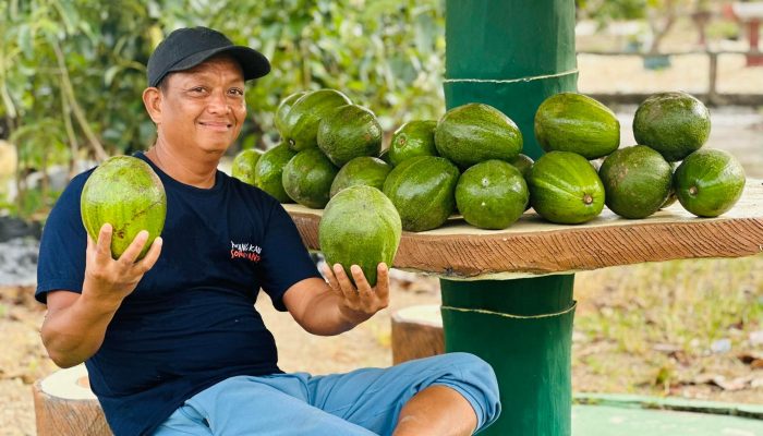 H. Pilli Gelar Pertemuan Akbar Komunitas Berkebun di Baranti, Berikut Jadwalnya