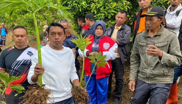 Porang Tumbuh di Punjabu: Langkah Strategis Bupati Sidrap Majukan Pertanian Unggulan