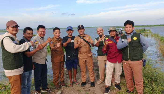 Tinjau Dampak Banjir di Danau Sidenreng, Dinas Pertanian dan PSDA Sidrap Siapkan Langkah Pemulihan Cepat