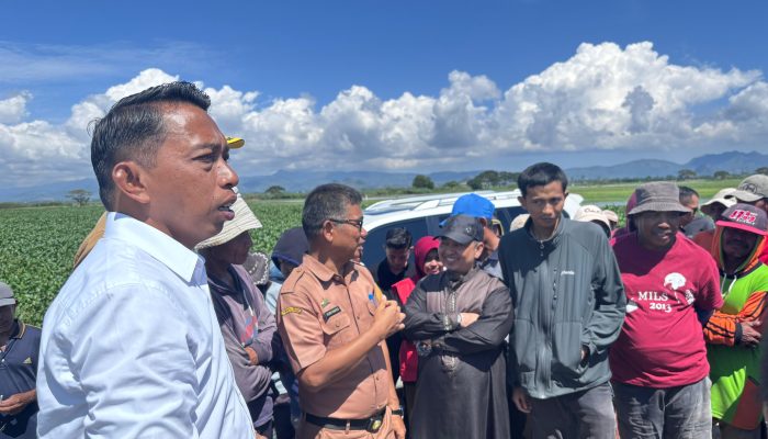 Sawah Petani Terendam, Bupati Sidrap Turun Langsung Cek Lokasi