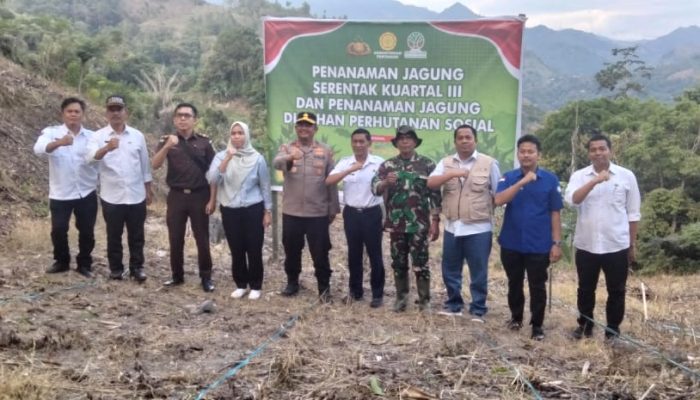 Polres dan Pemkab Enrekang Tanam Jagung Serentak, Dukung Swasembada Pangan Nasional