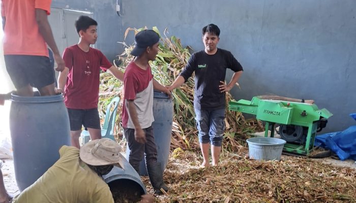 Jagung Tak Lagi Sekadar Panen: Dosen Teknik Pertanian UMS Rappang Ubah Limbah Jadi Emas 