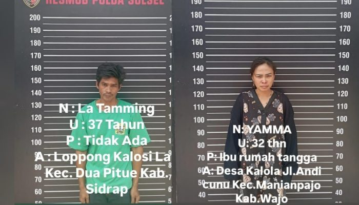 Polda Sulsel Bekuk Dua Passobis asal Sidrap dan Wajo, Sindikat Penipuan Online Modus Jual HP Murah di TikTok