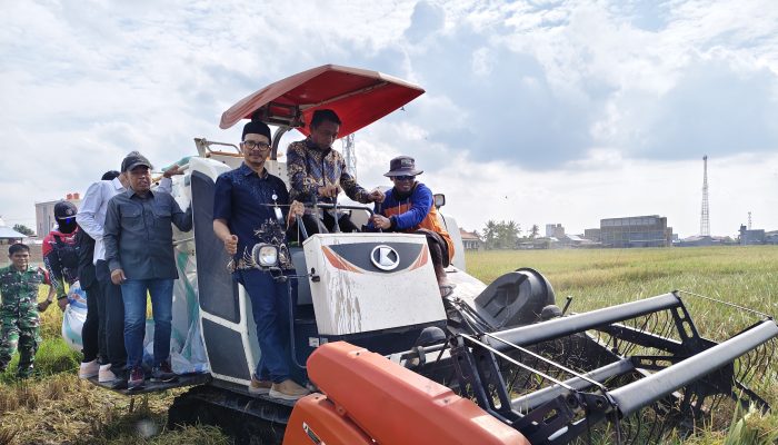 Bulog Sulsel Apresiasi Sidrap, Cetak Rekor Serapan Beras Tertinggi Sepanjang 57 Tahun