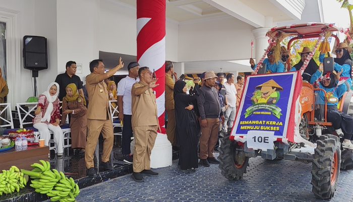 Karnaval Alsintan Sidrap Meriahkan HUT RI ke-80, Semangat Swasembada Pangan 1 Juta Ton Beras