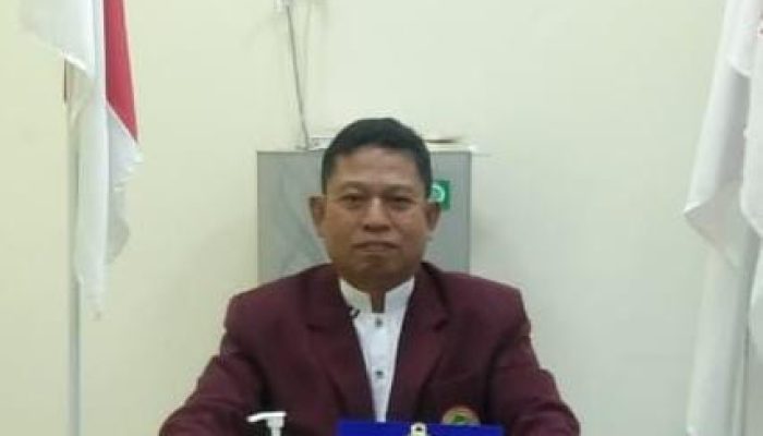DPD PPNI Kabupaten Sidrap Akan Gelar Seminar Nasional Keperawatan