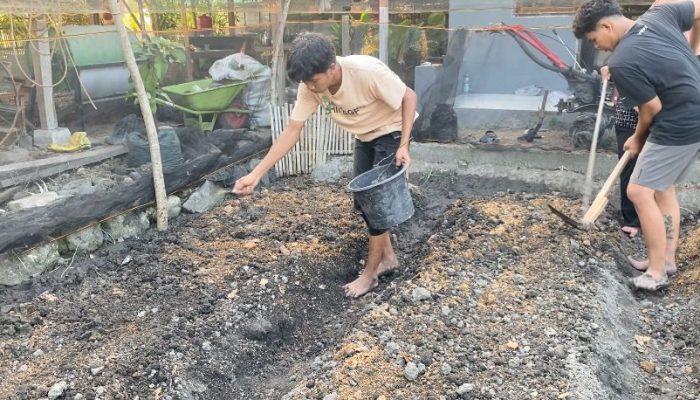 Mahasiswa Agroteknologi UMS Rappang Persiapkan Lahan di Desa Carawali, Program MBKM dan Pembinaan Desa Binaan Ketahanan Pangan